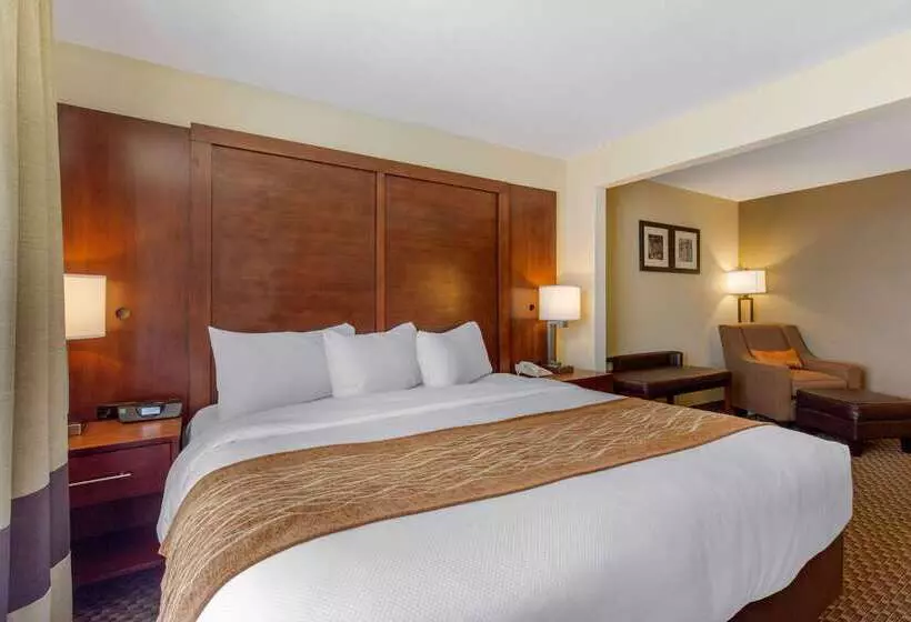 ホテル Comfort Inn & Suites Sw Houston Sugarland