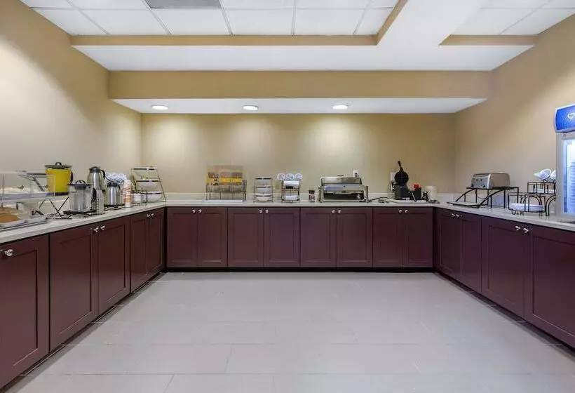 ホテル Comfort Inn & Suites Sw Houston Sugarland