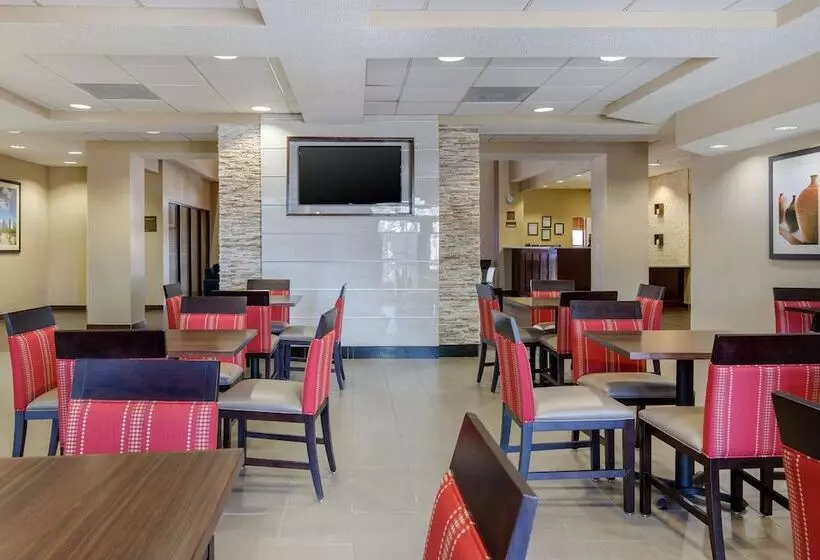 ホテル Comfort Inn & Suites Sw Houston Sugarland