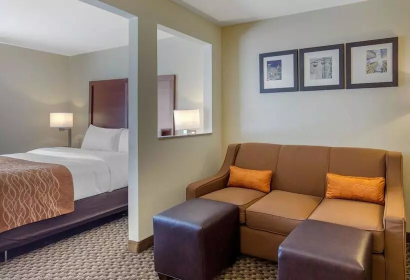 ホテル Comfort Inn & Suites Sw Houston Sugarland