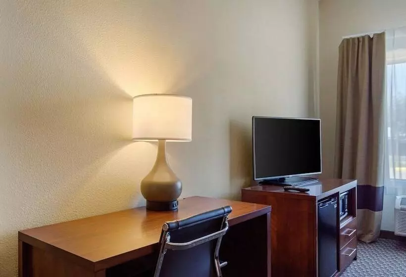ホテル Comfort Inn & Suites Sw Houston Sugarland