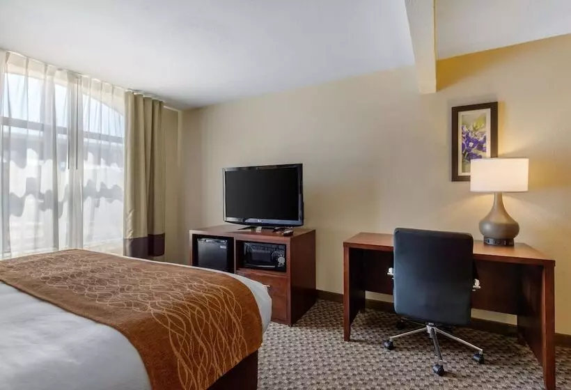 ホテル Comfort Inn & Suites Sw Houston Sugarland