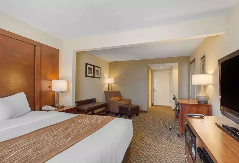 ホテル Comfort Inn & Suites Sw Houston Sugarland