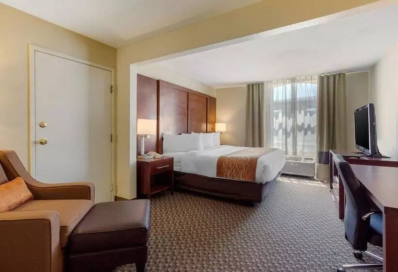 ホテル Comfort Inn & Suites Sw Houston Sugarland