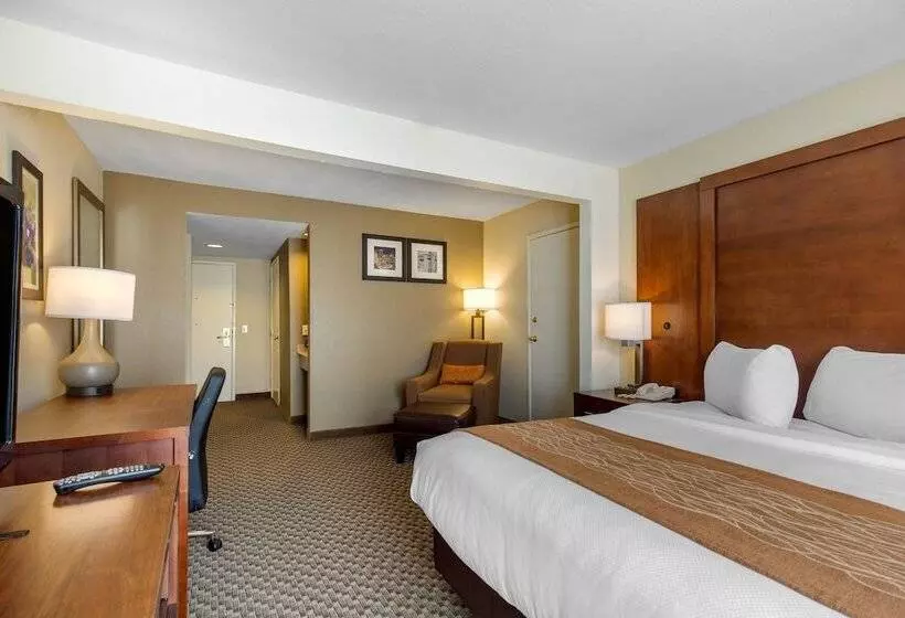 ホテル Comfort Inn & Suites Sw Houston Sugarland