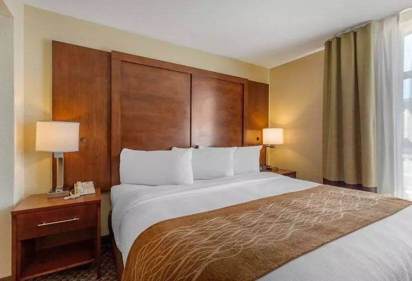 ホテル Comfort Inn & Suites Sw Houston Sugarland