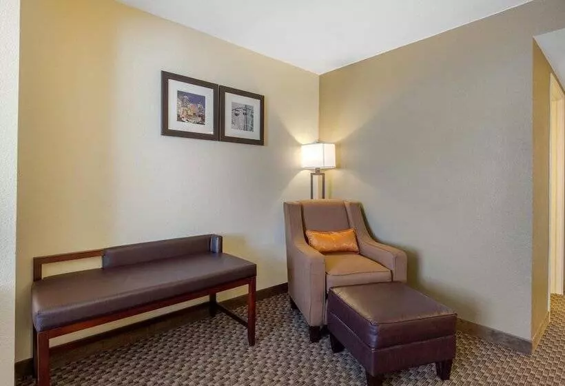 ホテル Comfort Inn & Suites Sw Houston Sugarland