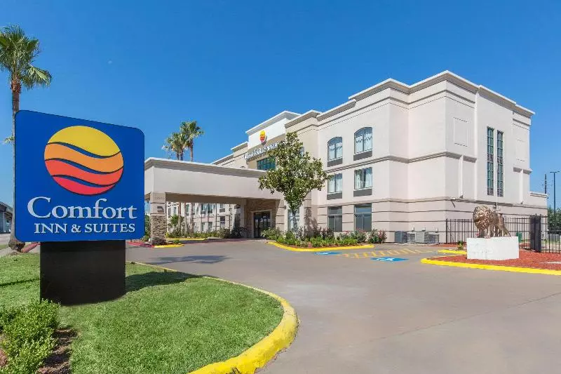 ホテル Comfort Inn & Suites Sw Houston Sugarland