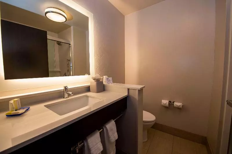 ホテル Holiday Inn Express & Suites   Colorado Springs Afa Northgate, An Ihg