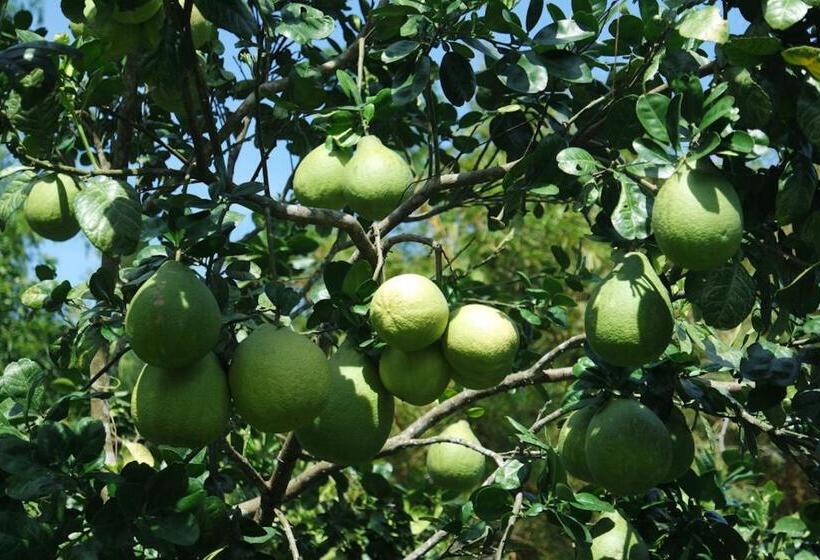 Szálló Finca Carpe Diem Ecolodge