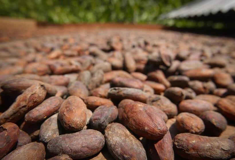 Szálló Finca Carpe Diem Ecolodge