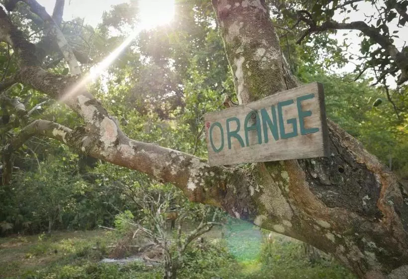 Retkeilymaja Finca Carpe Diem Ecolodge