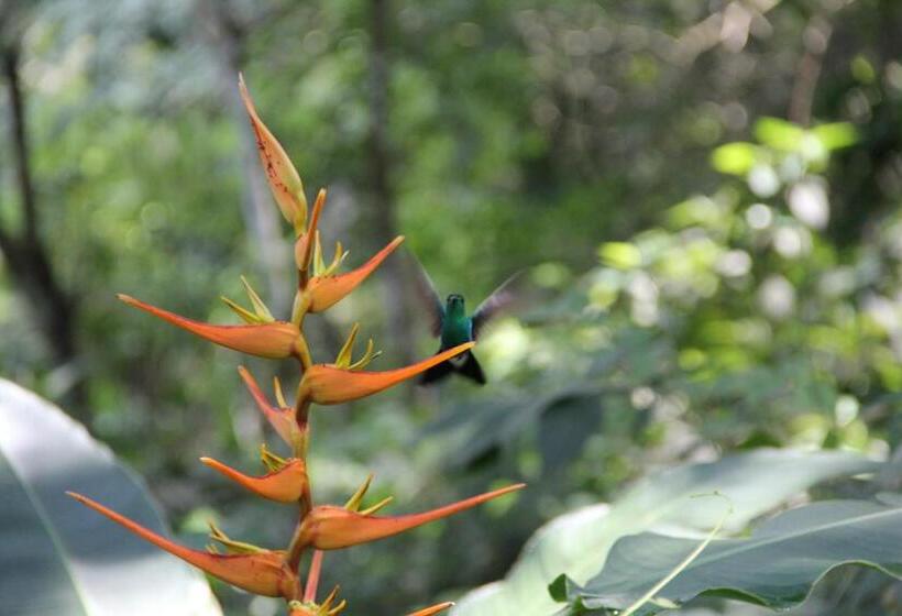 Szálló Finca Carpe Diem Ecolodge