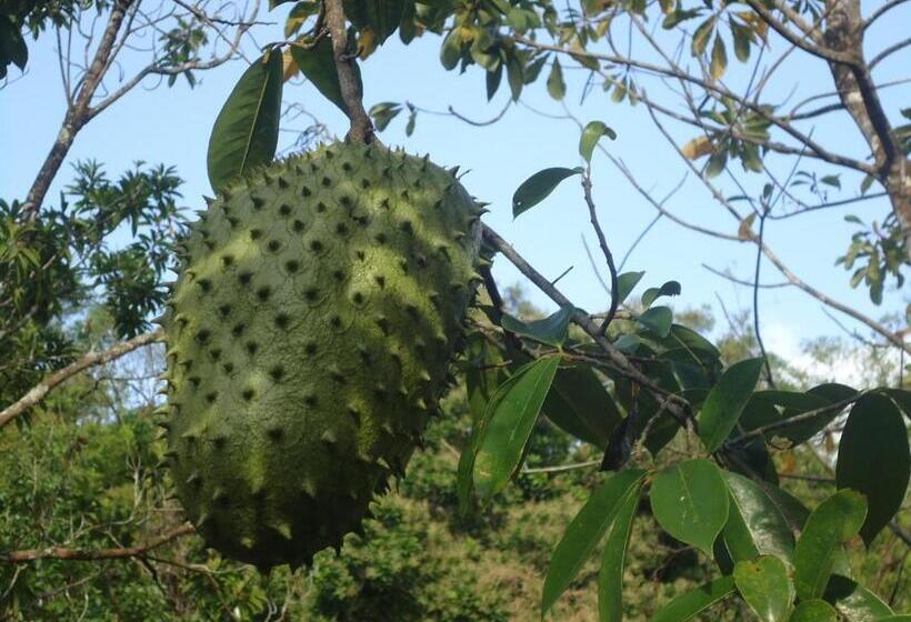 Szálló Finca Carpe Diem Ecolodge