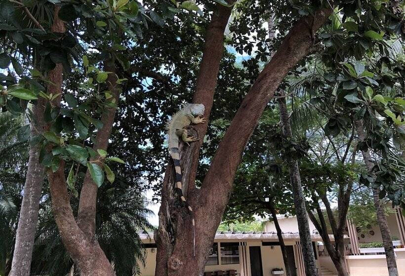 호텔 Diria Santa Cruz