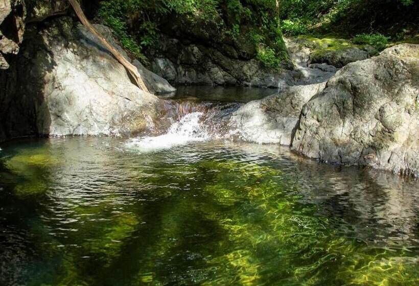 호텔 Diria Santa Cruz