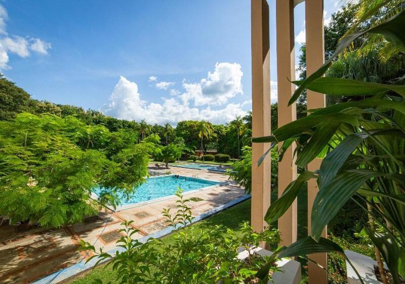 호텔 Diria Santa Cruz