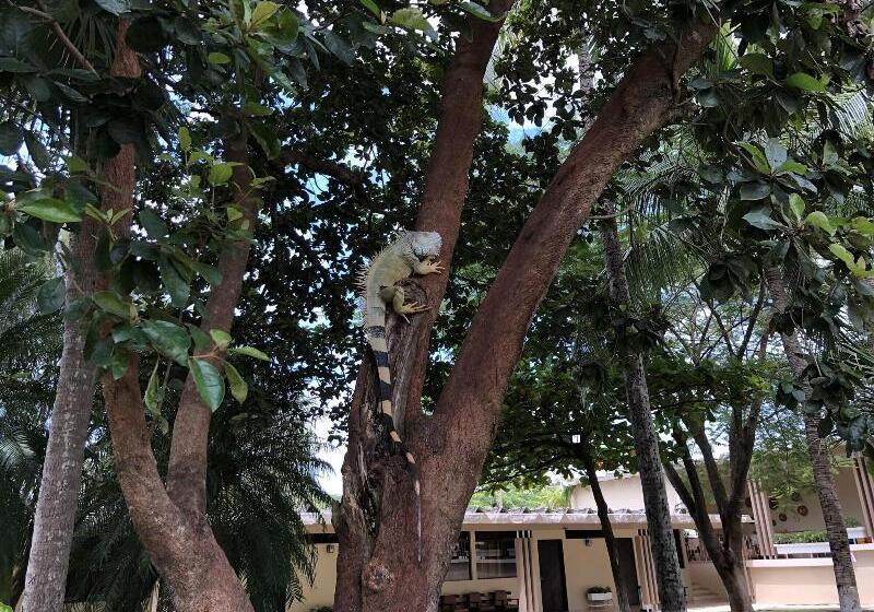 호텔 Diria Santa Cruz