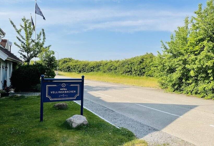 בית מלון כפרי L Vellingebacken