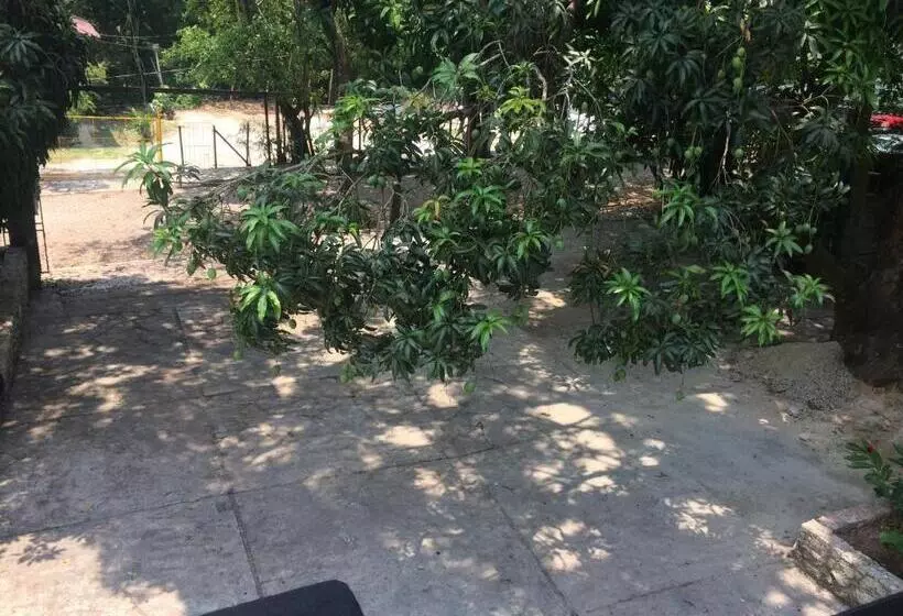 ホテル Sevilla Palenque