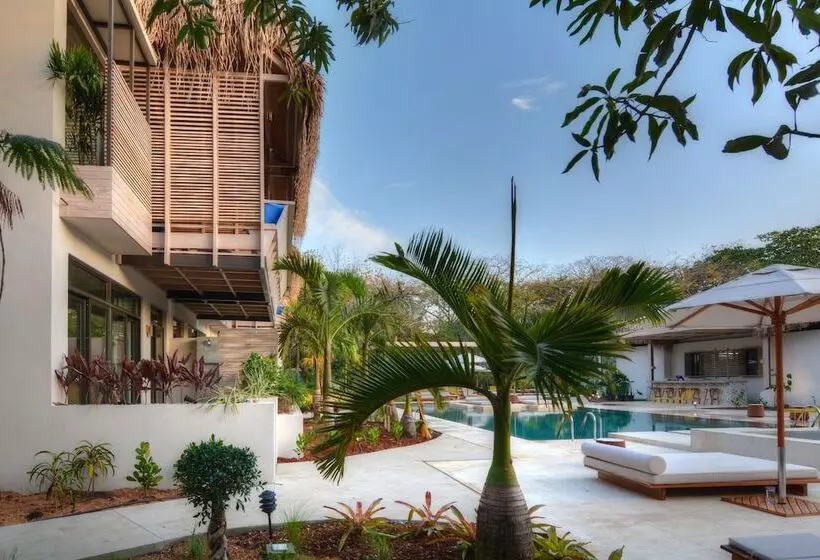 Hotelli The Gilded Iguana