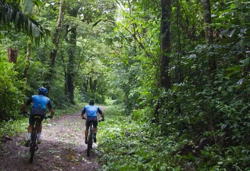 Hotelli The Gilded Iguana