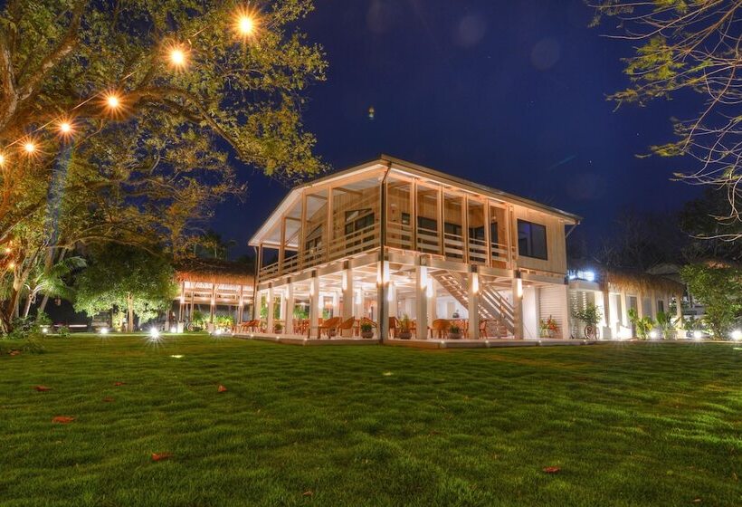 فندق The Gilded Iguana