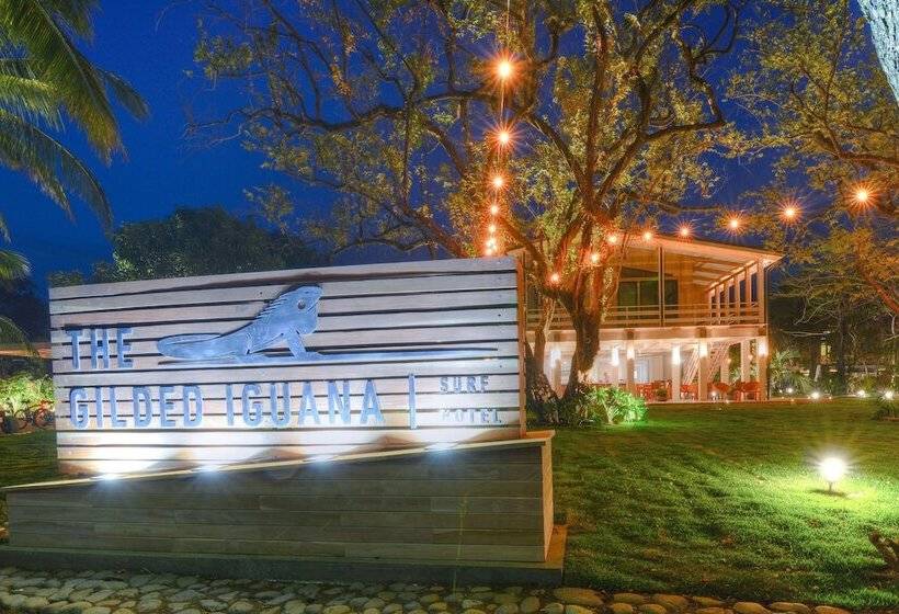 فندق The Gilded Iguana