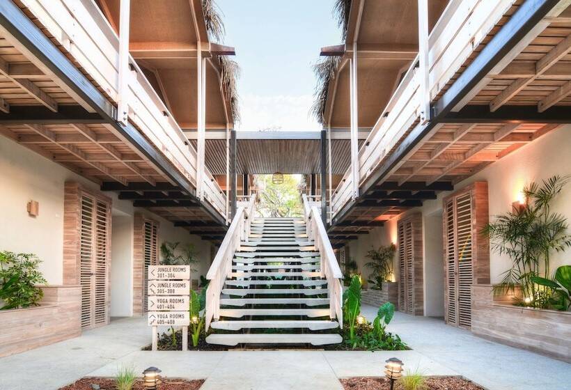 فندق The Gilded Iguana