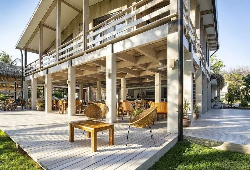 Hotelli The Gilded Iguana