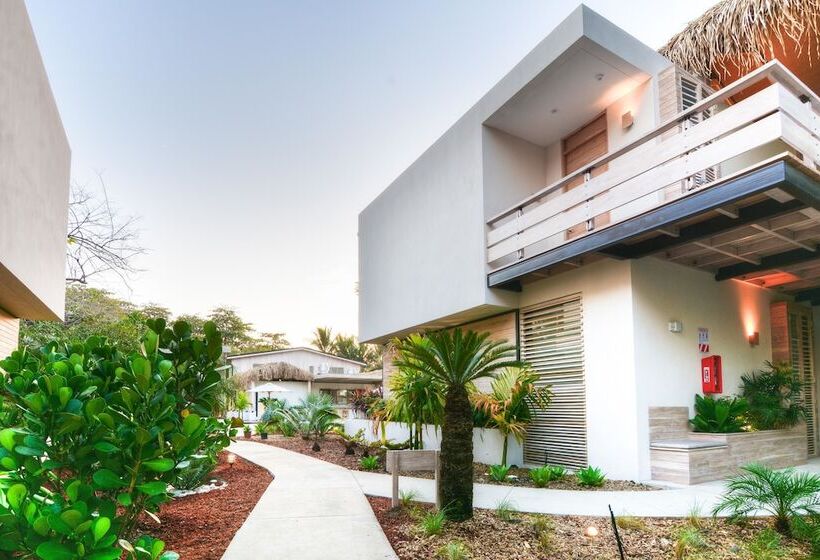 فندق The Gilded Iguana