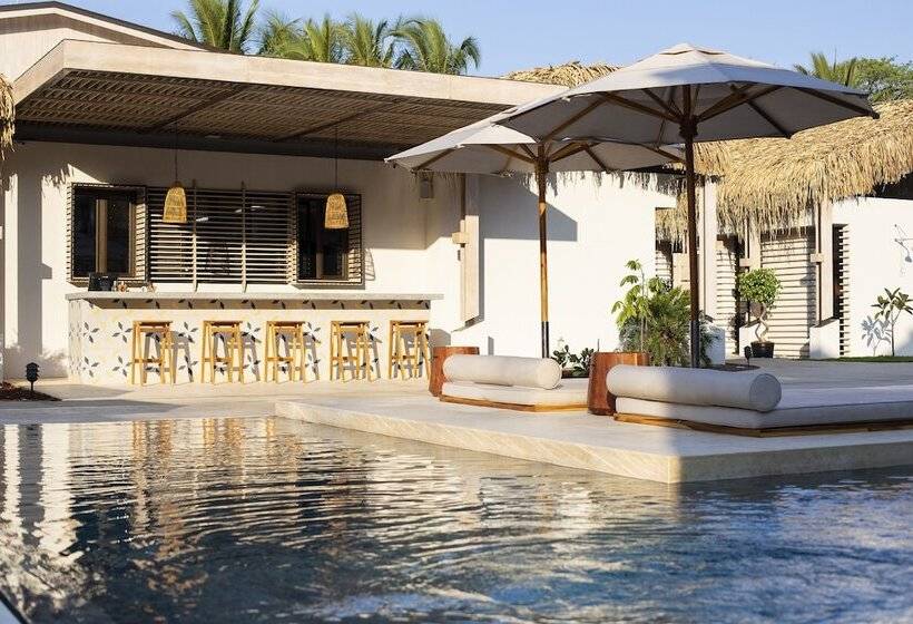 فندق The Gilded Iguana