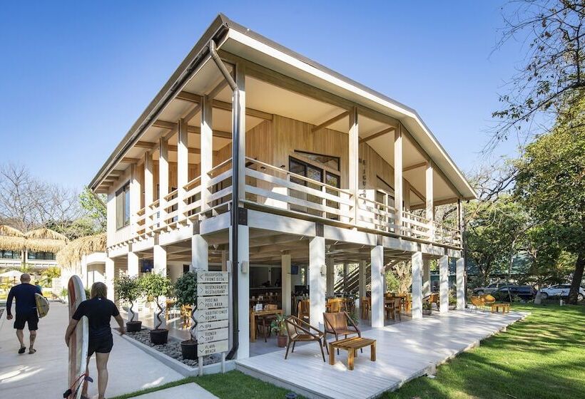 فندق The Gilded Iguana