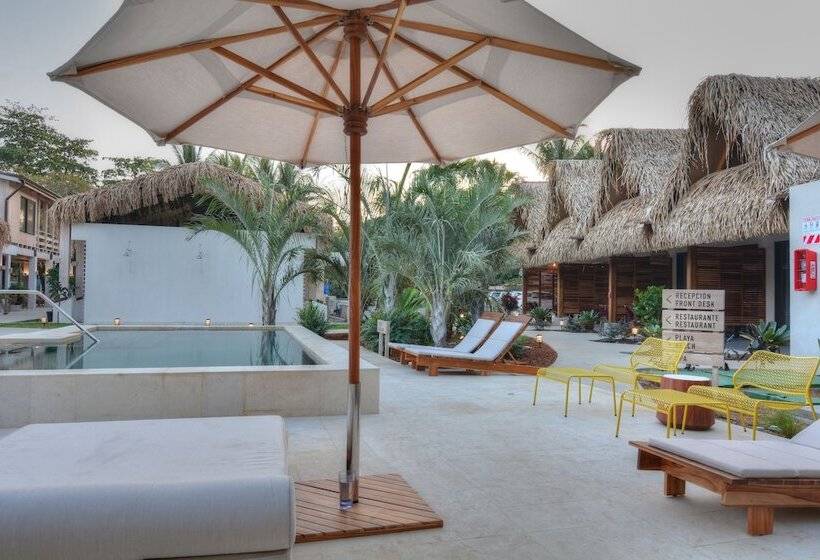 فندق The Gilded Iguana