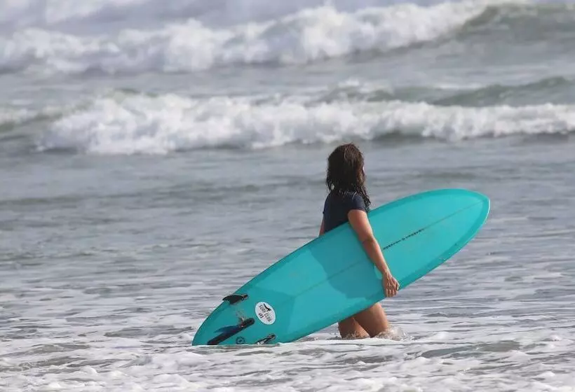 Hotelli The Gilded Iguana