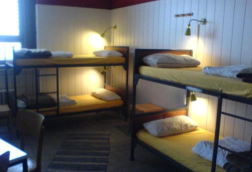 הוסטל Penthouse Backpackers