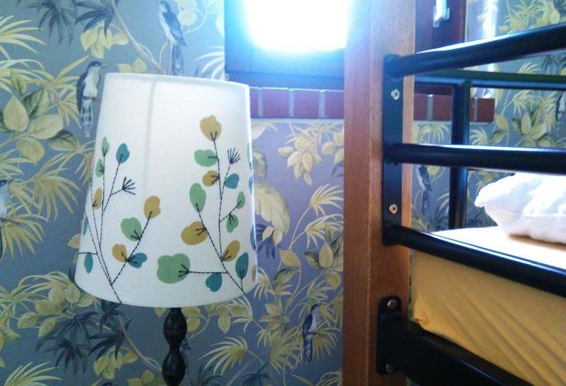 הוסטל Penthouse Backpackers