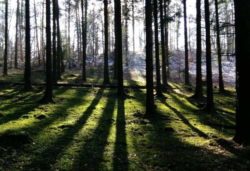 הוסטל Penthouse Backpackers