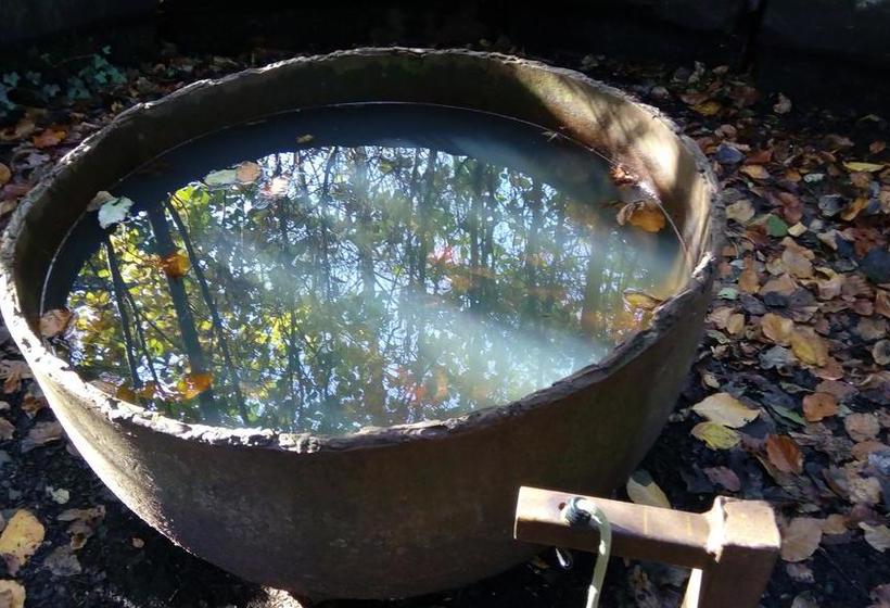 הוסטל Penthouse Backpackers