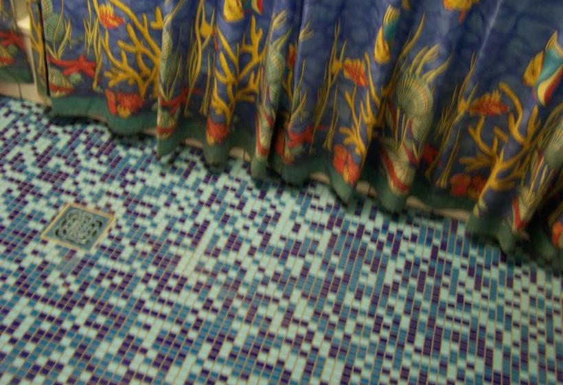 הוסטל Penthouse Backpackers