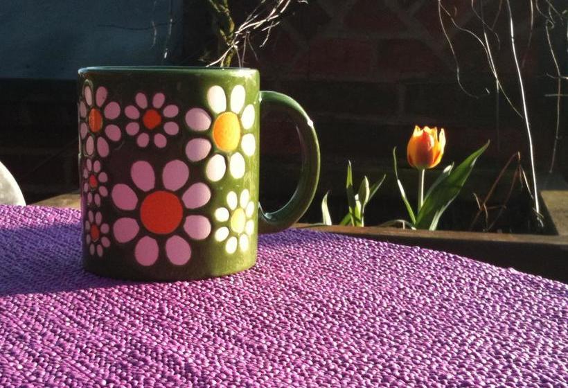 הוסטל Penthouse Backpackers