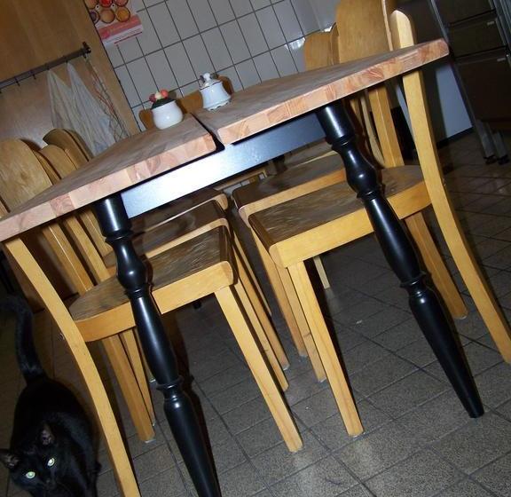 הוסטל Penthouse Backpackers