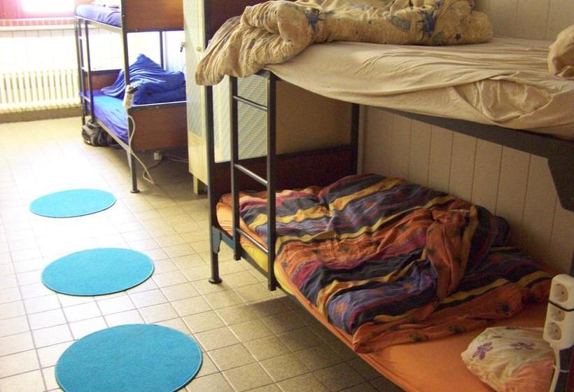 הוסטל Penthouse Backpackers