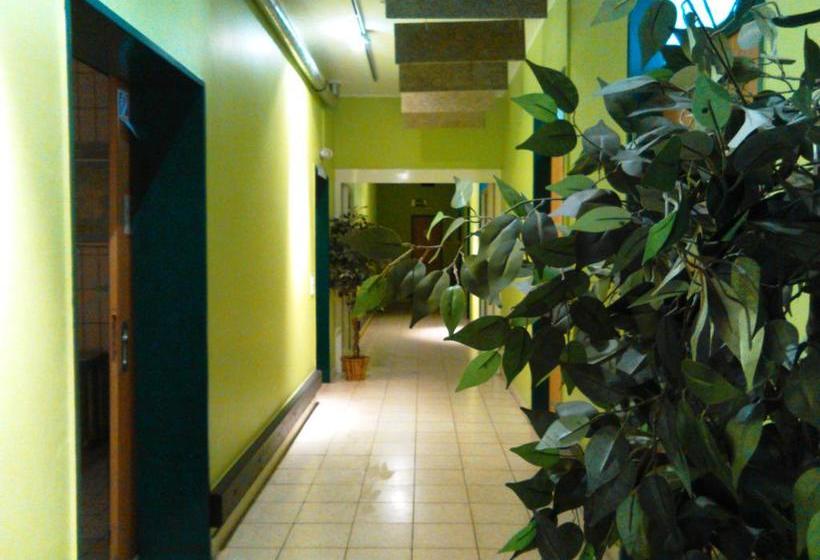 הוסטל Penthouse Backpackers