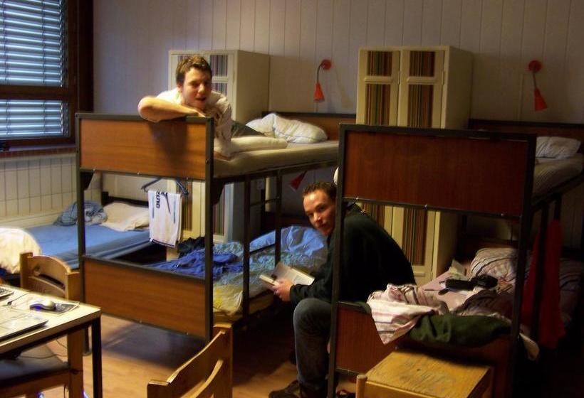 הוסטל Penthouse Backpackers