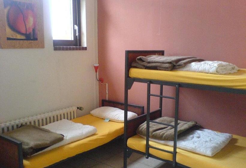 הוסטל Penthouse Backpackers