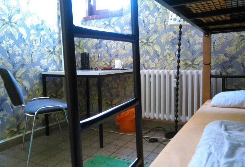 הוסטל Penthouse Backpackers