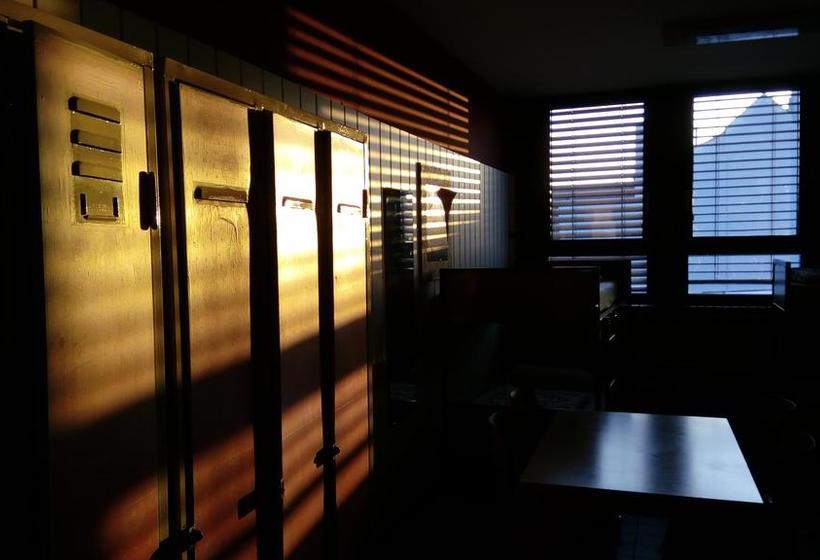 הוסטל Penthouse Backpackers