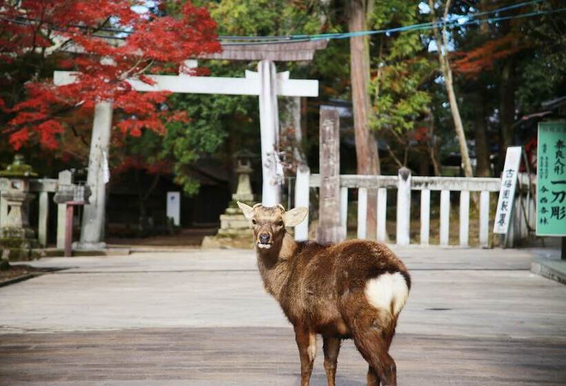 Hostel&gallerygisgood