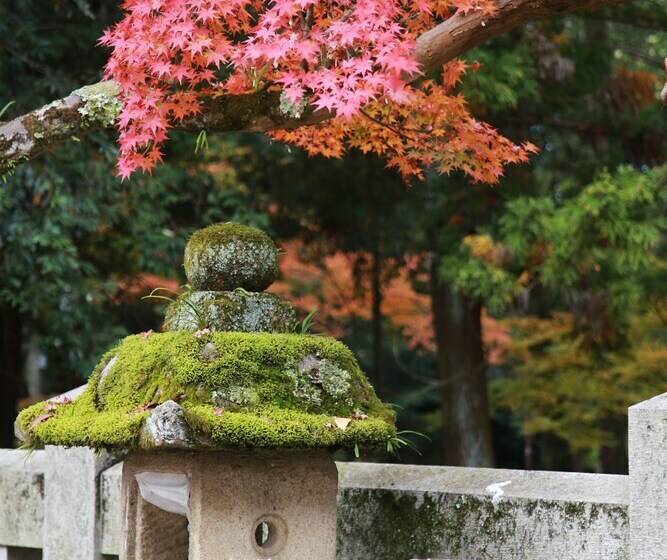 Hostel&gallerygisgood